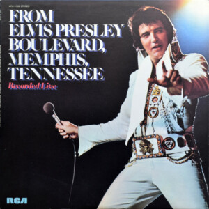 Elvis Presley - Boulevard, Memphis, Tennessee - Recorded live #