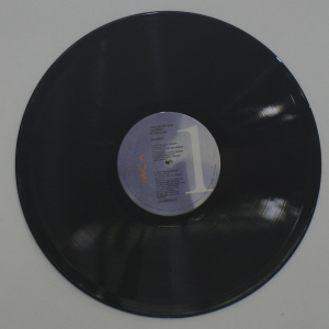 Spyro Gyra - Dreams Beyond Control - Image 3