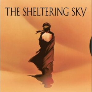 THE SHELTERING - DEBRA WINGER - JOHN MALKOVICH LASER DISC (LD)