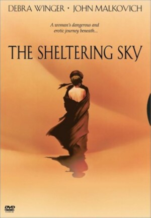 THE SHELTERING - DEBRA WINGER - JOHN MALKOVICH LASER DISC (LD)