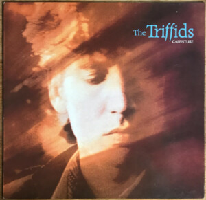 The Triffids – Calenture