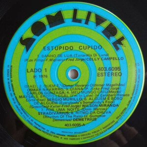 Estúpido Cupido (Trilha Sonora Da Novela)