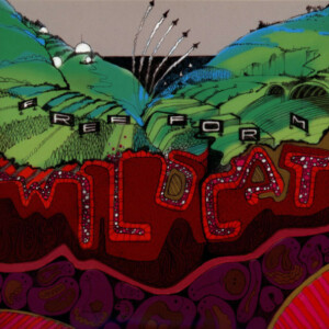 Freeform – Wildcat (Importado) º