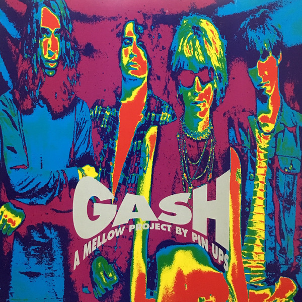 Pin Ups – Gash º