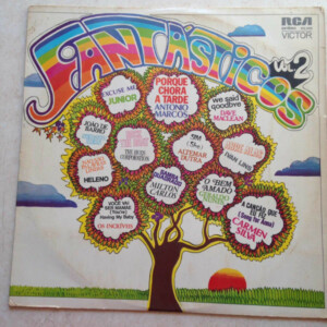 Fantásticos Vol.2 º