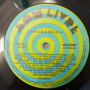 Saramandaia - 20% a 50% Off °