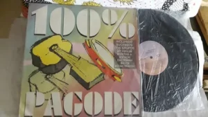 100% Pagode º