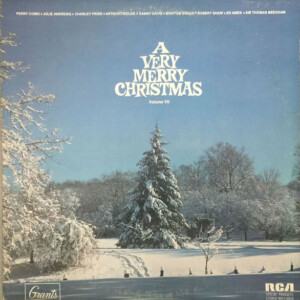 A Very Merry Christmas - Volume VII º