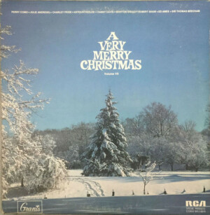 A Very Merry Christmas - Volume VII º