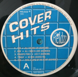 The Best Of Cover Hits º
