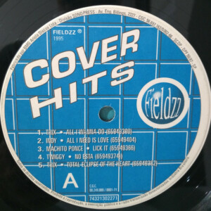 The Best Of Cover Hits º